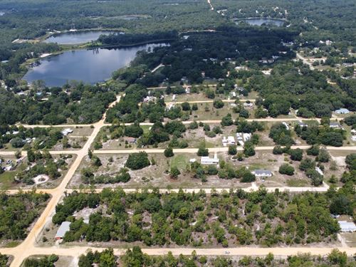 Flat & Ready, Nature Escape : Interlachen : Putnam County : Florida