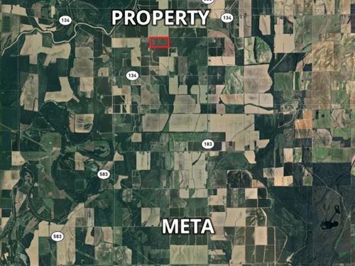 La, Richland 80 Acres : Oak Ridge : Richland Parish : Louisiana