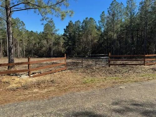 24 Acres, Jayess, MS : Jayess : Walthall County : Mississippi