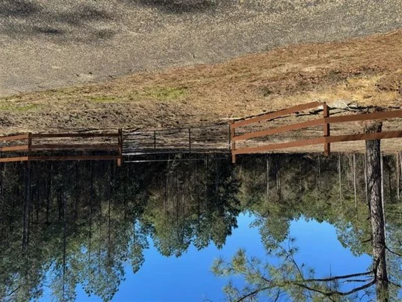 24 Acres, Jayess, MS : Jayess : Walthall County : Mississippi