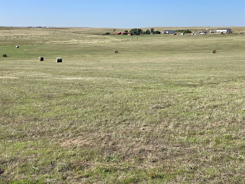 Ramah Springs Ranch : Ramah : Elbert County : Colorado