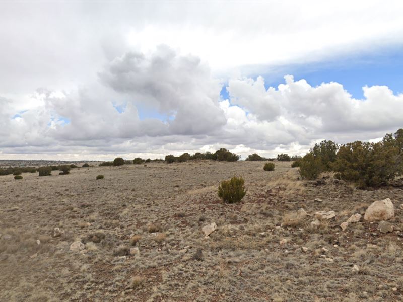 Concho AZ Land Near Concho Lake 859 : Concho : Apache County : Arizona