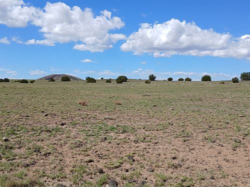 RV and Camp Under The Stars : Concho : Apache County : Arizona