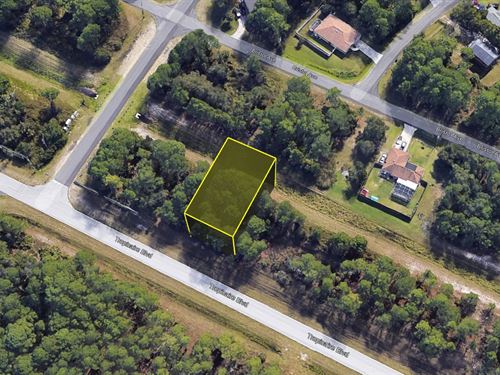 Ready-To-Build Lot Only $490/Mo : North Port : Sarasota County : Florida