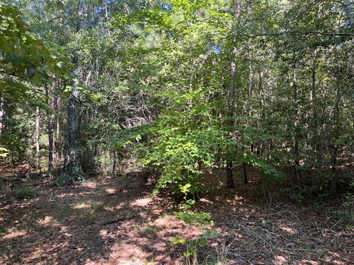 Lot 8 High Shoals Road : Anderson : South Carolina