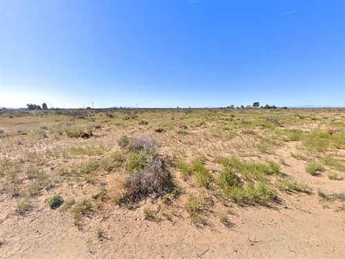 A Stargazers Dream : Deming : Luna County : New Mexico