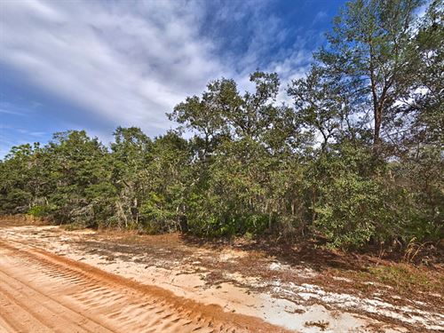 No HOA, No Landlord : Interlachen : Putnam County : Florida