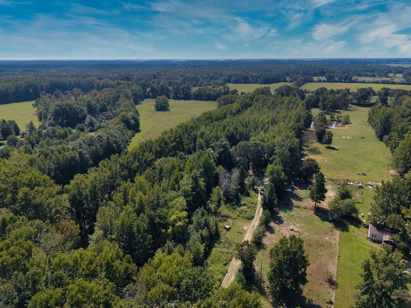 4.94 Acres in Lonoke County AR : Lonoke : Lonoke County : Arkansas