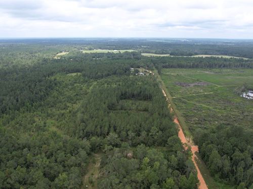 Escape to Your Own Private 3+ Acres : Kite : Emanuel County : Georgia