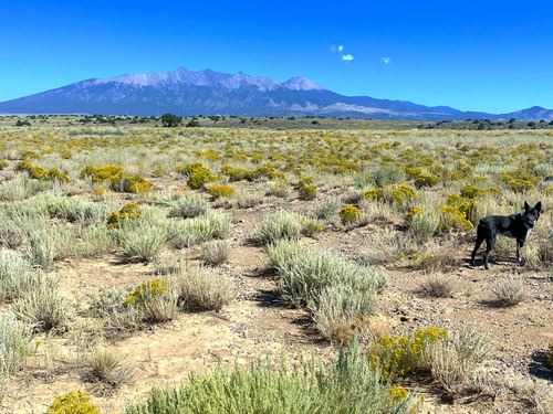 Double Corner Lot to Build or Camp : Colorado City : Costilla County : Colorado