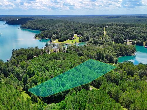 1.59 Acres Near Lake Public Water : Arley : Winston County : Alabama