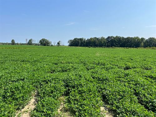 G6 Farms-Tract 1 : Troy : Pike County : Alabama