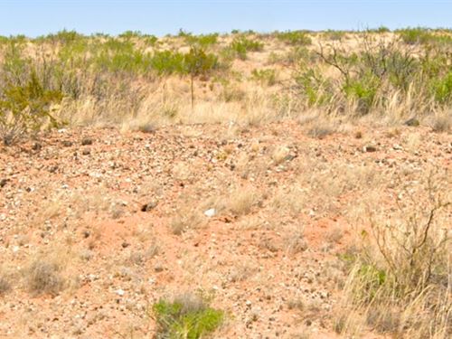 Level Vacant Lot for Camping and RV : Deming : Luna County : New Mexico