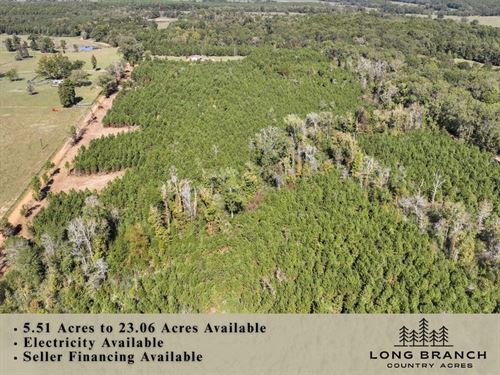 11.02 Acres, CR 3121, T-7 & T-8 : Long Branch : Panola County : Texas