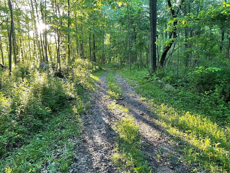 40 Acres / Bucks & Ducks / Van : Lawrence : Van Buren County : Michigan