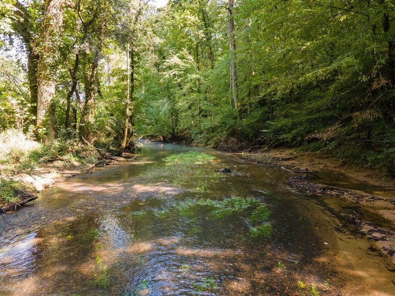 80 Acres Pasture and Hunting Land : South Pittsburg : Marion County : Tennessee