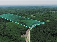 11.6 Acres, Power & Fiber Internet : Dover : Stewart County : Tennessee