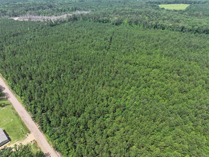 30.5 Acres in Webster County, MS : Maben : Webster County : Mississippi