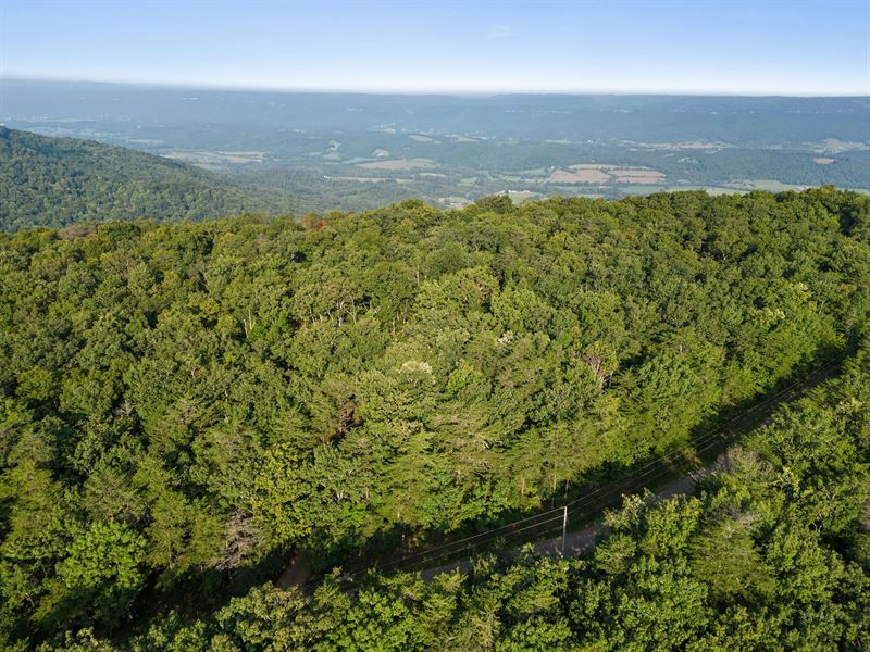 3 Acres Lot 11 in Bledsoe County : Graysville : Bledsoe County : Tennessee