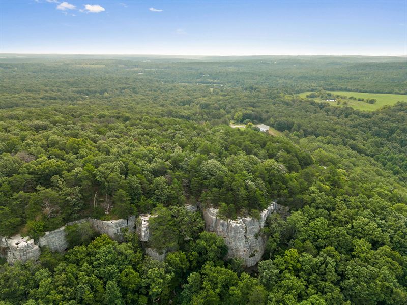 3 Acres Lot 12 in Bledsoe County : Graysville : Bledsoe County : Tennessee