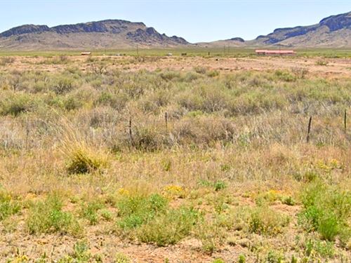 Serene Lot Near Development Area : Deming : Luna County : New Mexico