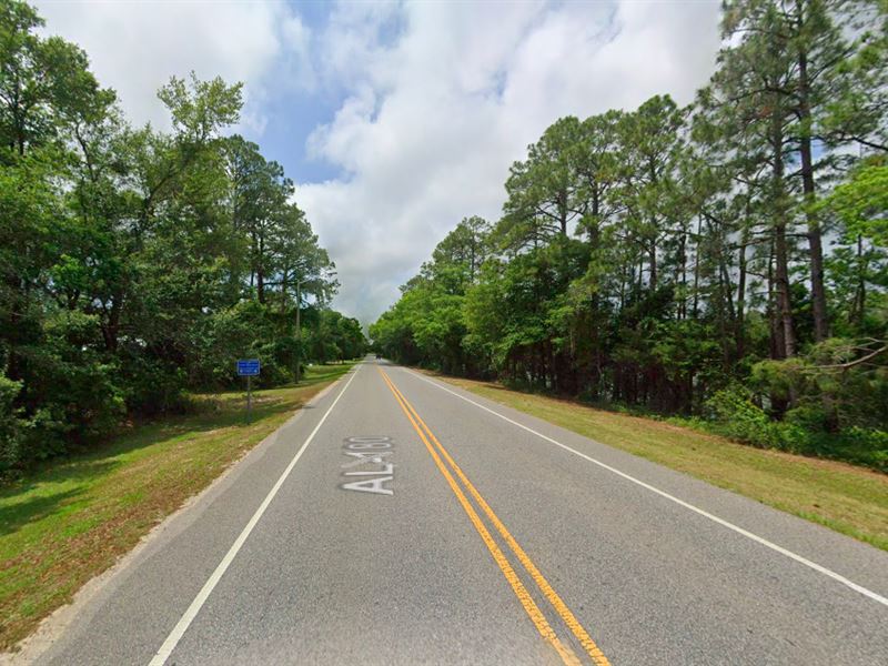 Invest in Paradise-Prime Lot : Gulf Shores : Baldwin County : Alabama