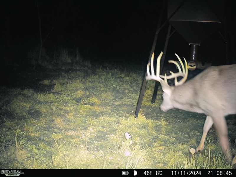 Bunce Rd 16 : Gallipolis : Gallia County : Ohio