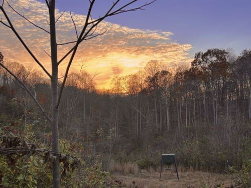 Bunce Rd 16 : Gallipolis : Gallia County : Ohio