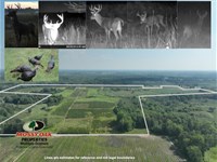 150 Acre Bangor Blueberry Farm : Bangor : Van Buren County : Michigan