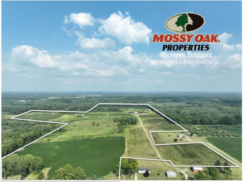 150 Acre Bangor Blueberry Farm : Bangor : Van Buren County : Michigan