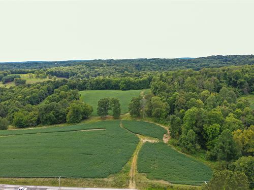 20.168 Acres on Cooks Hill Rd : Glenford : Licking County : Ohio