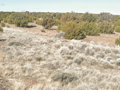 Your Vacant Residential Land Awaits : Concho : Apache County : Arizona