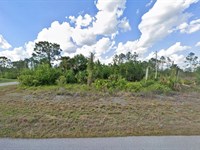 Hot FL Lot Deal : Lehigh Acres : Lee County : Florida