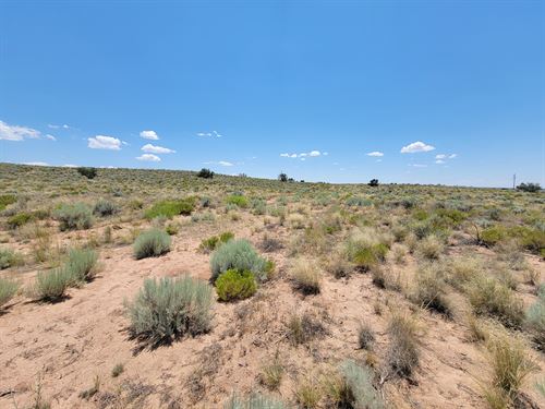 Your Home with Direct Road Access : Chambers : Apache County : Arizona