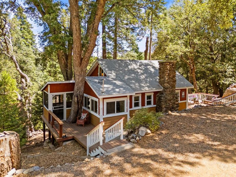 Charming Retreat in The Woods : Palomar Mountain : San Diego County : California