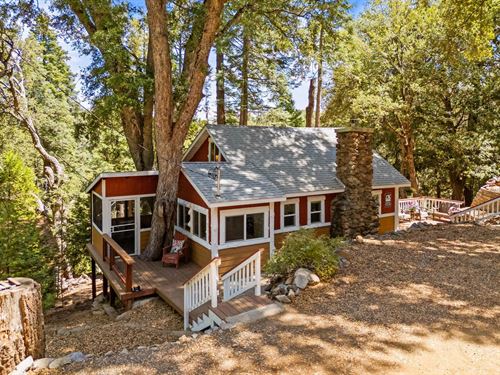 Charming Retreat in The Woods : Palomar Mountain : San Diego County : California