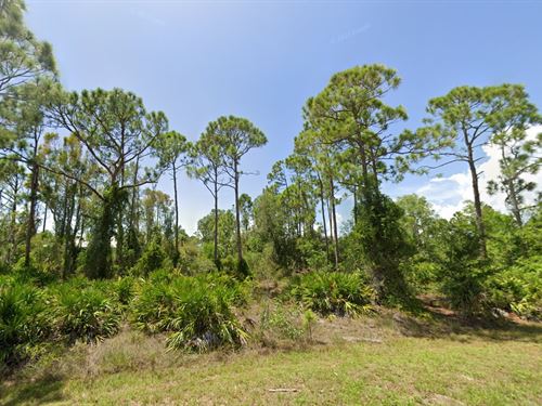 Sunshine State Lot Just $391/Month : Punta Gorda : Charlotte County : Florida
