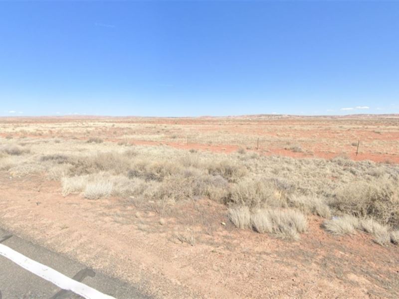 Cheap 40 Acres Mostly Flat Land : Saint Johns : Apache County : Arizona