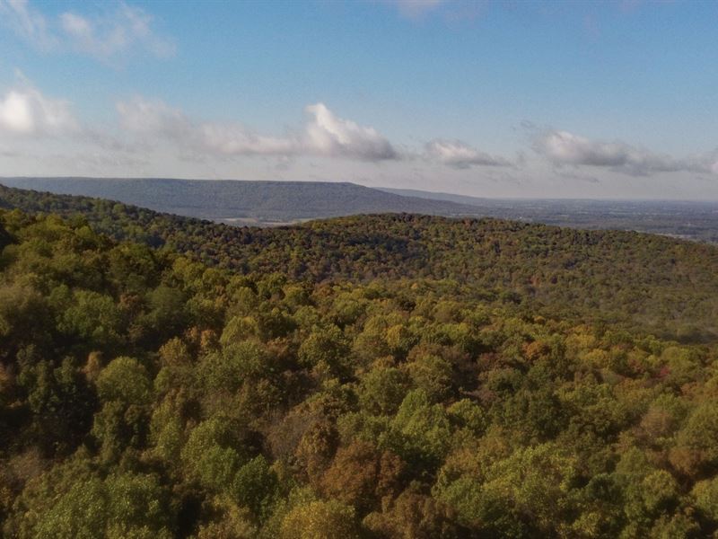 290 Acres in Grundy County, TN : Tracy City : Grundy County : Tennessee