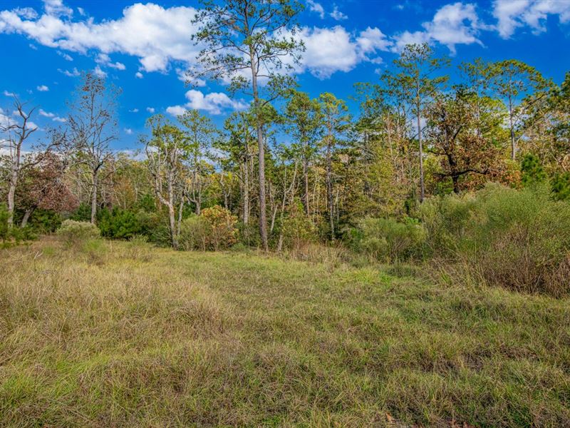RV Friendly, Near Lake Livingston : Trinity : Trinity County : Texas