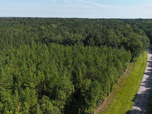 Tract with Great Road Frontage : Thomson : McDuffie County : Georgia
