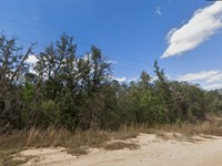 Interlachen Lakeside Retreat : Interlachen : Putnam County : Florida