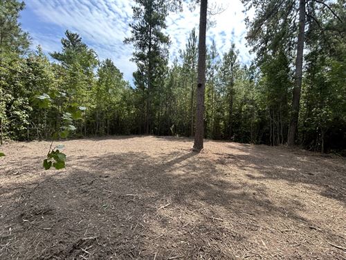 Wooded Corner Lot : Musella : Crawford County : Georgia