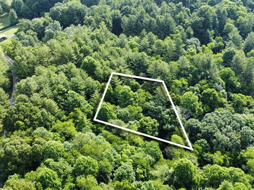 2.66 Acres, Stream & River : Laurel Springs : Ashe County : North Carolina