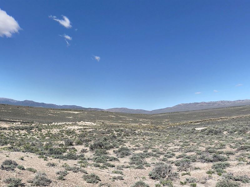Don't Just Invest, Own The Desert : Wells : Elko County : Nevada
