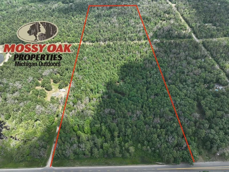 5910 S Shallow Dr Idlewild, MI 4964 : Idlewild : Lake County : Michigan