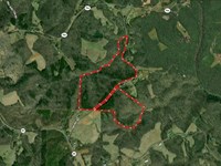 95.93Ac, 0001 Tom Mix Road Wes : Westfield : Surry County : North Carolina