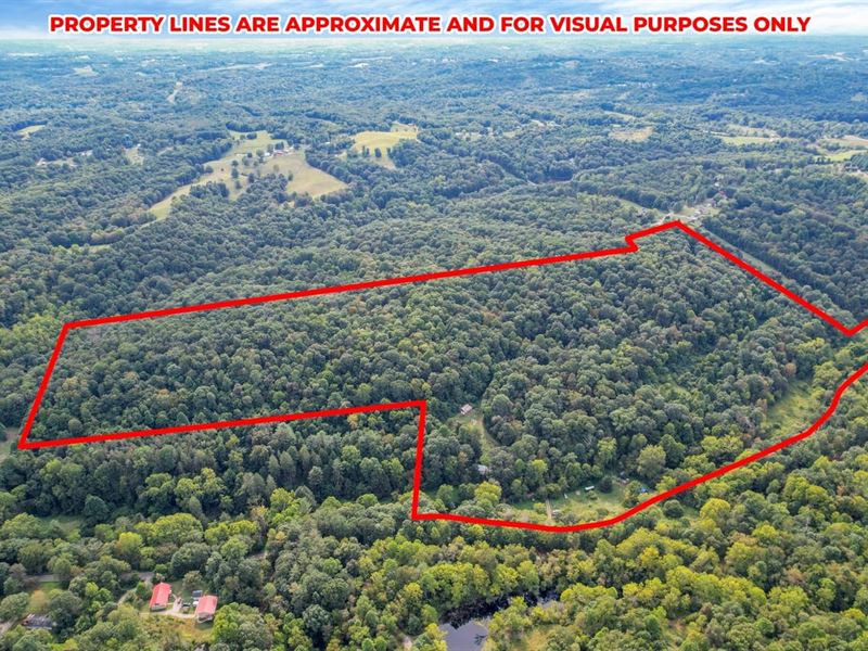 Long Run Rd, 90 Acres : Athens : Athens County : Ohio