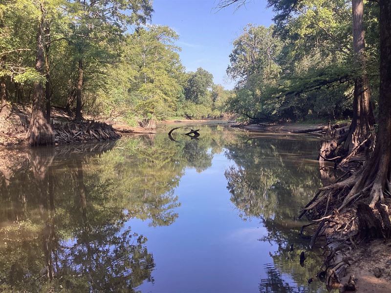 243 Acres in Webster Parish, LA : Minden : Webster Parish : Louisiana