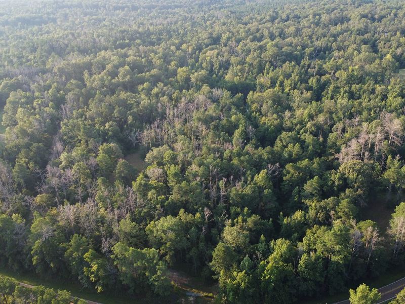 48.42 Acres in Copiah County, MS : Crystal Springs : Copiah County : Mississippi